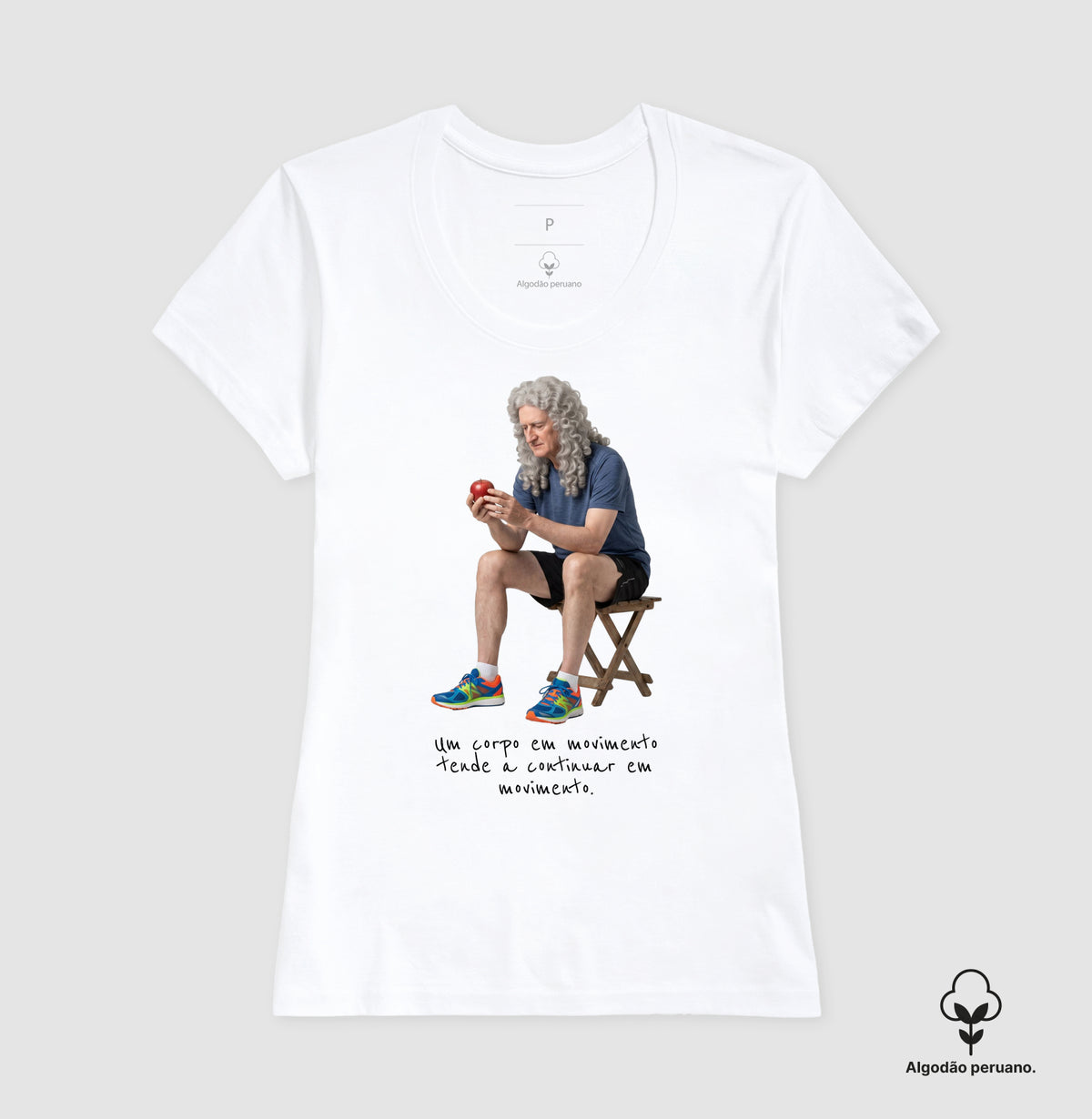 Newton - Corpo em Movimento