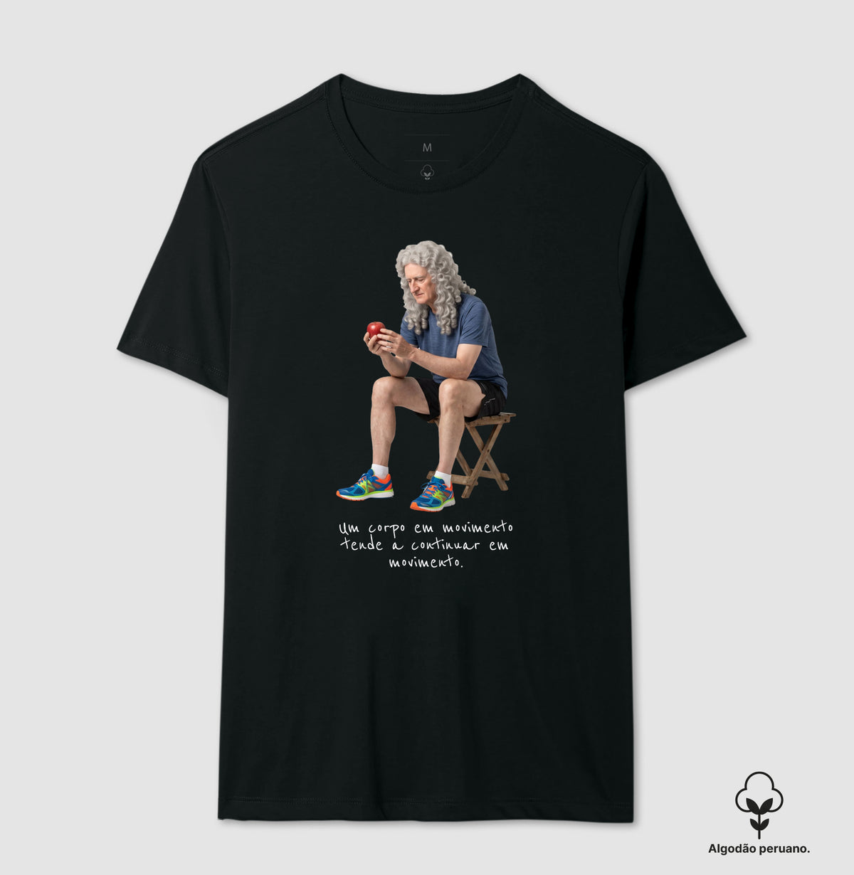 Newton - Corpo em Movimento