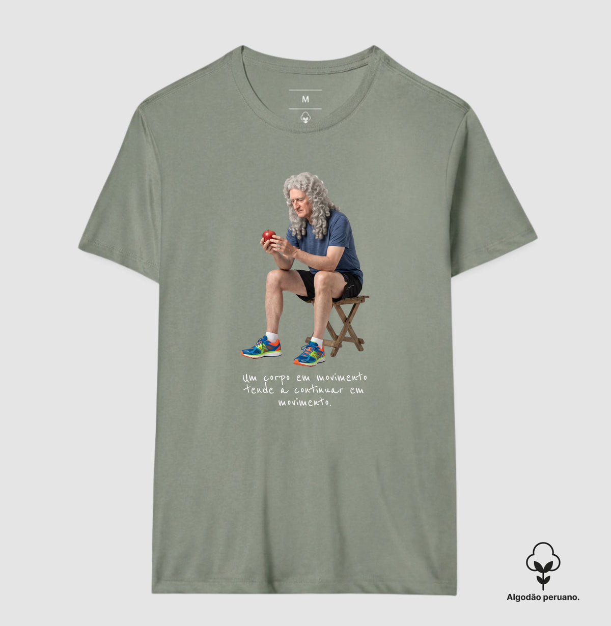 Newton - Corpo em Movimento