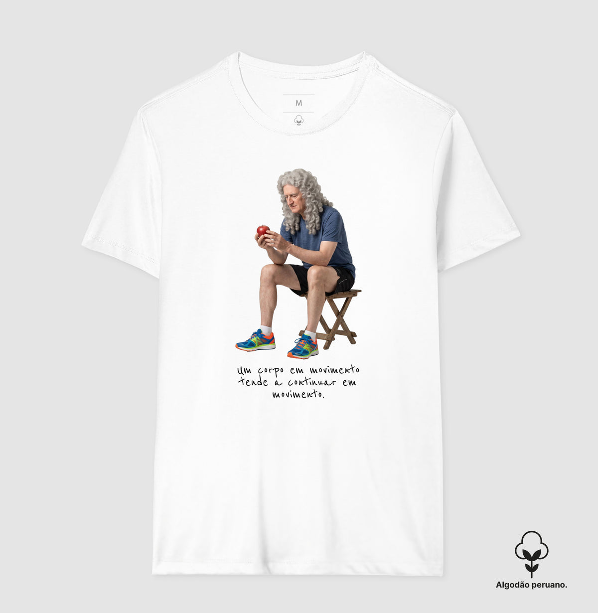 Newton - Corpo em Movimento